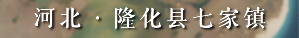 101010.png